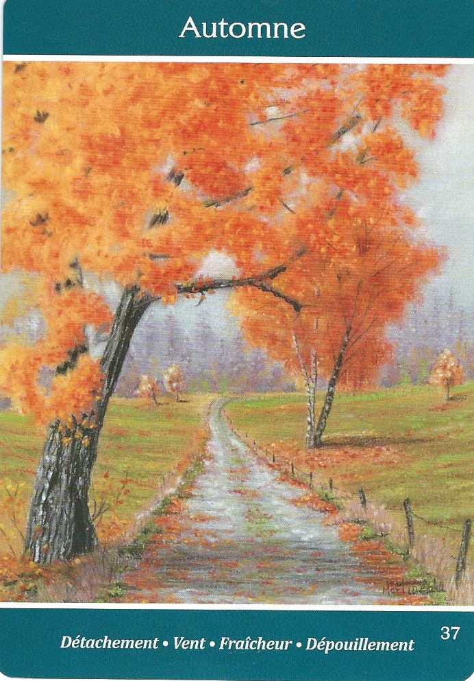 37 automne