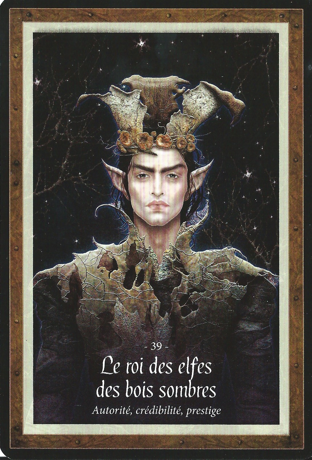 39 le roi des elfes des bois sombres