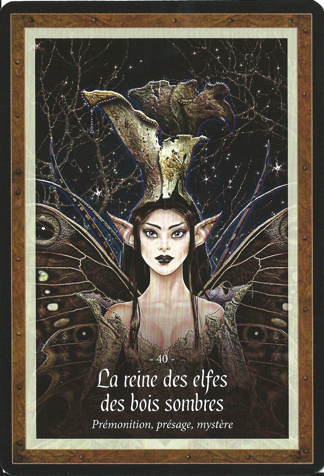 40 la reine des elfes des bois sombres