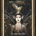 40 la reine des elfes des bois sombres