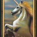 43 la licorne doree