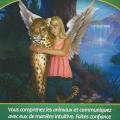 Animaux