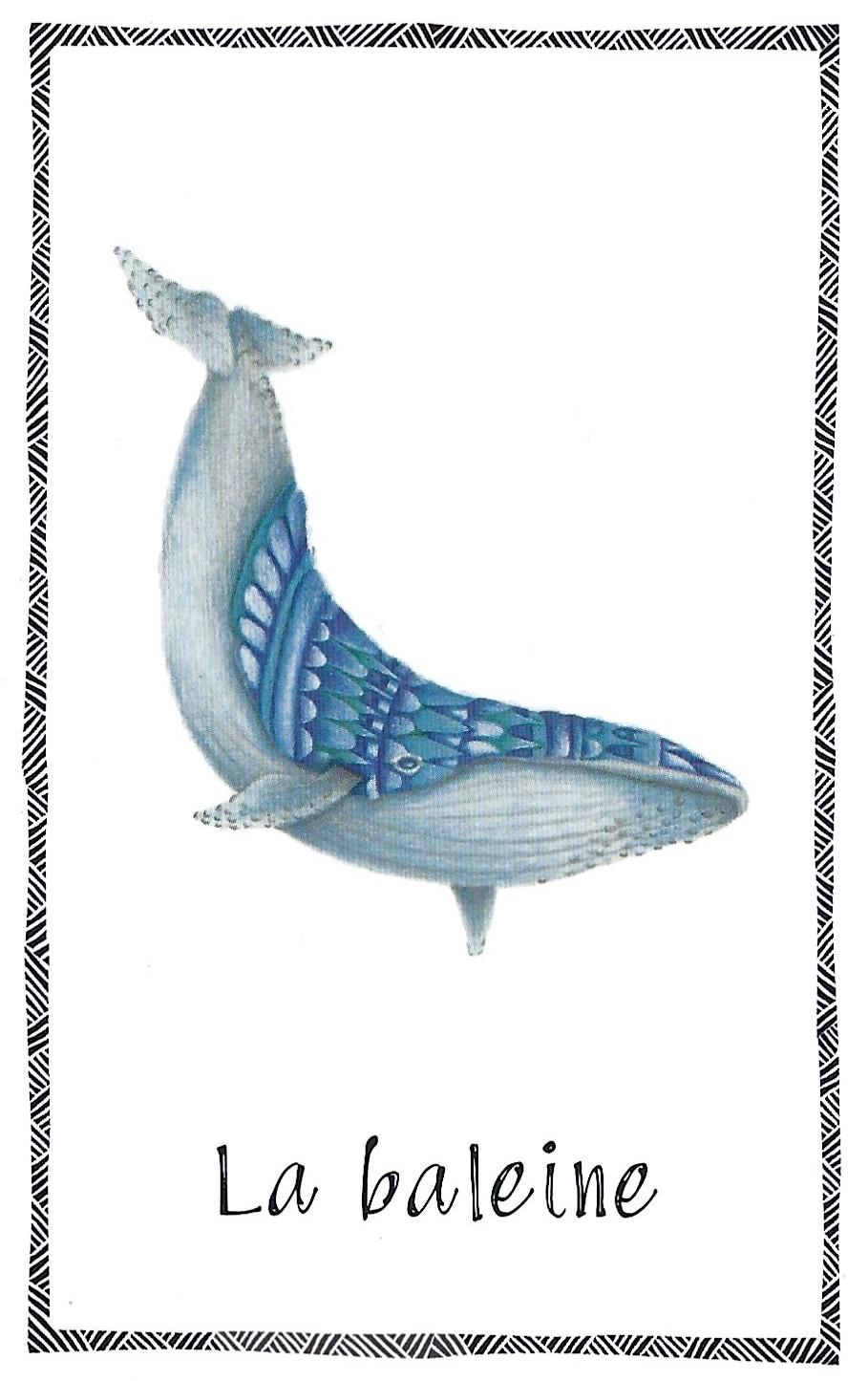 Baleine 1