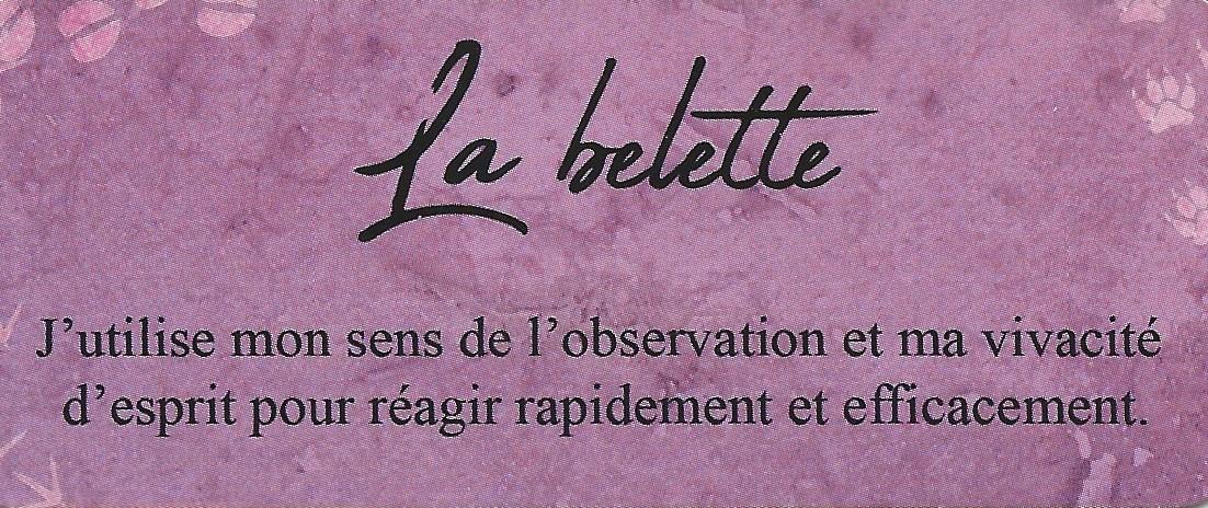 Belette