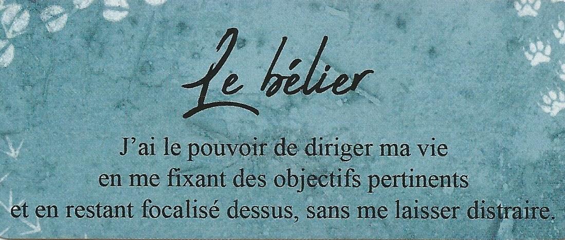 Belier 3