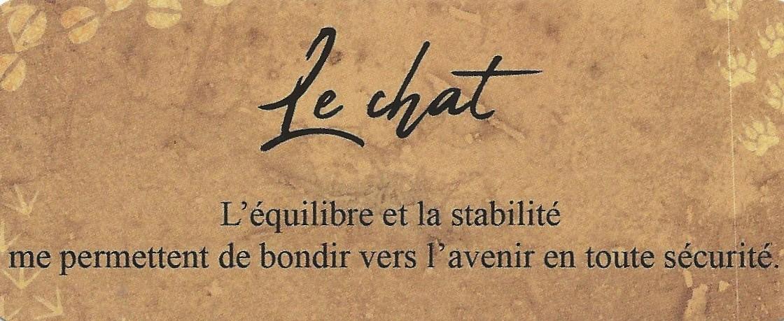 Chat