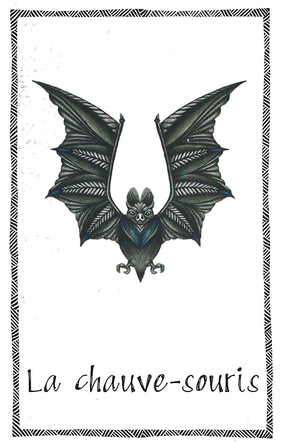 Chauve souris 1