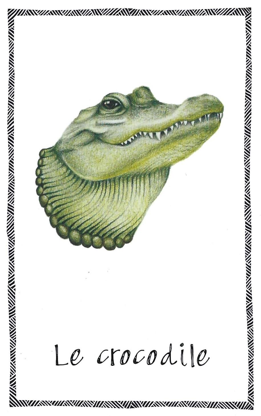 Crocodile