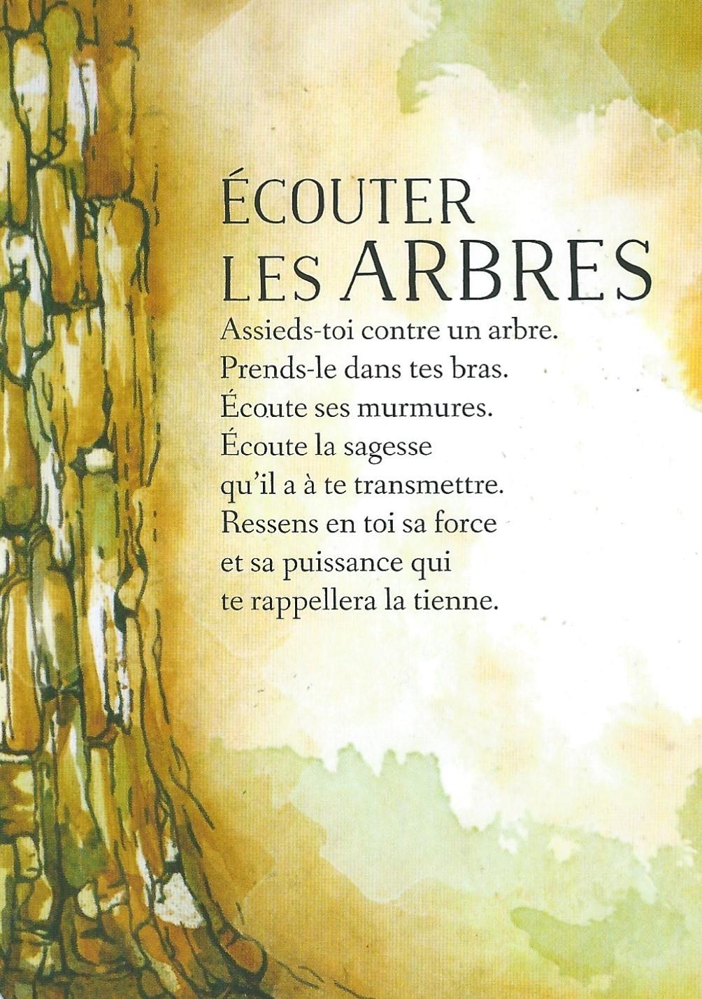 Ecouter les arbres