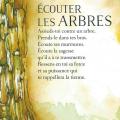 Ecouter les arbres