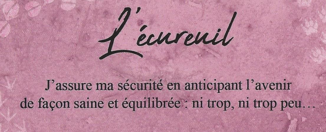 Ecureuil