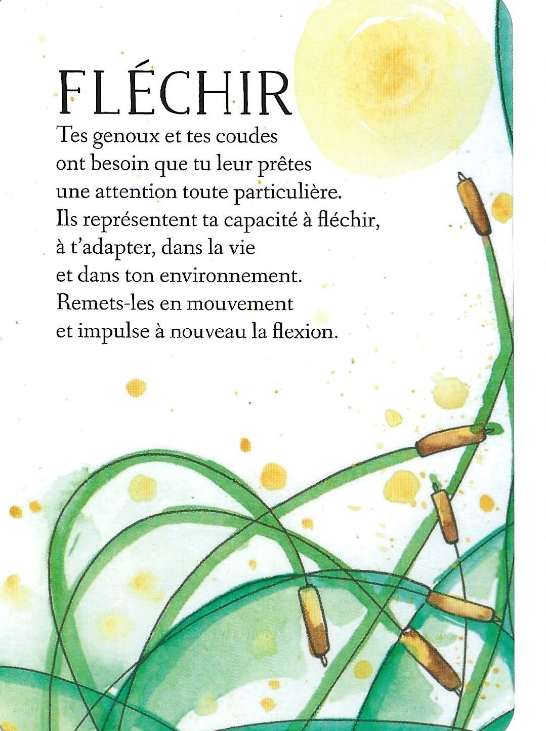 Flechir