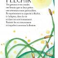 Flechir