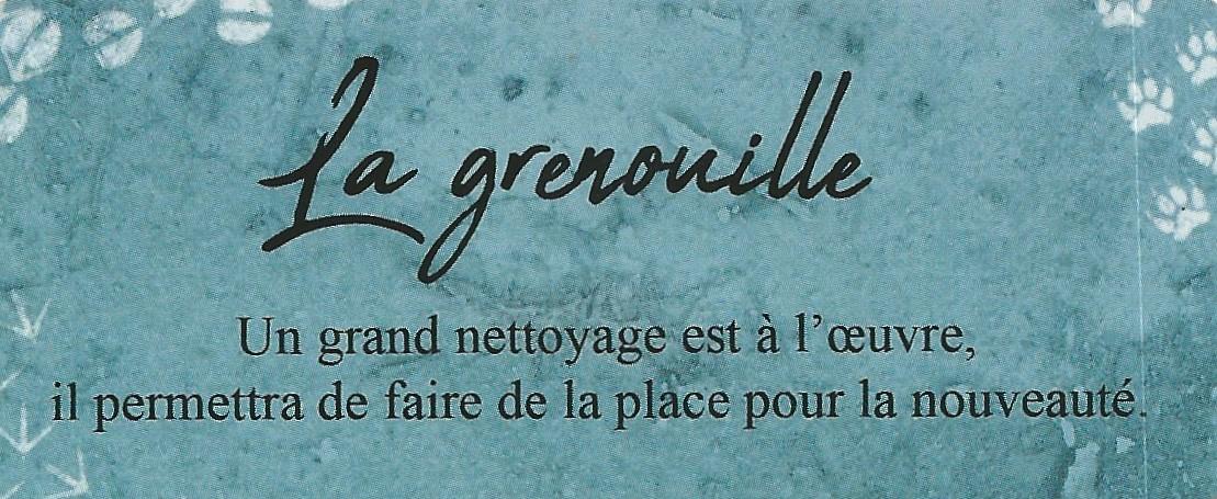 Grenouille