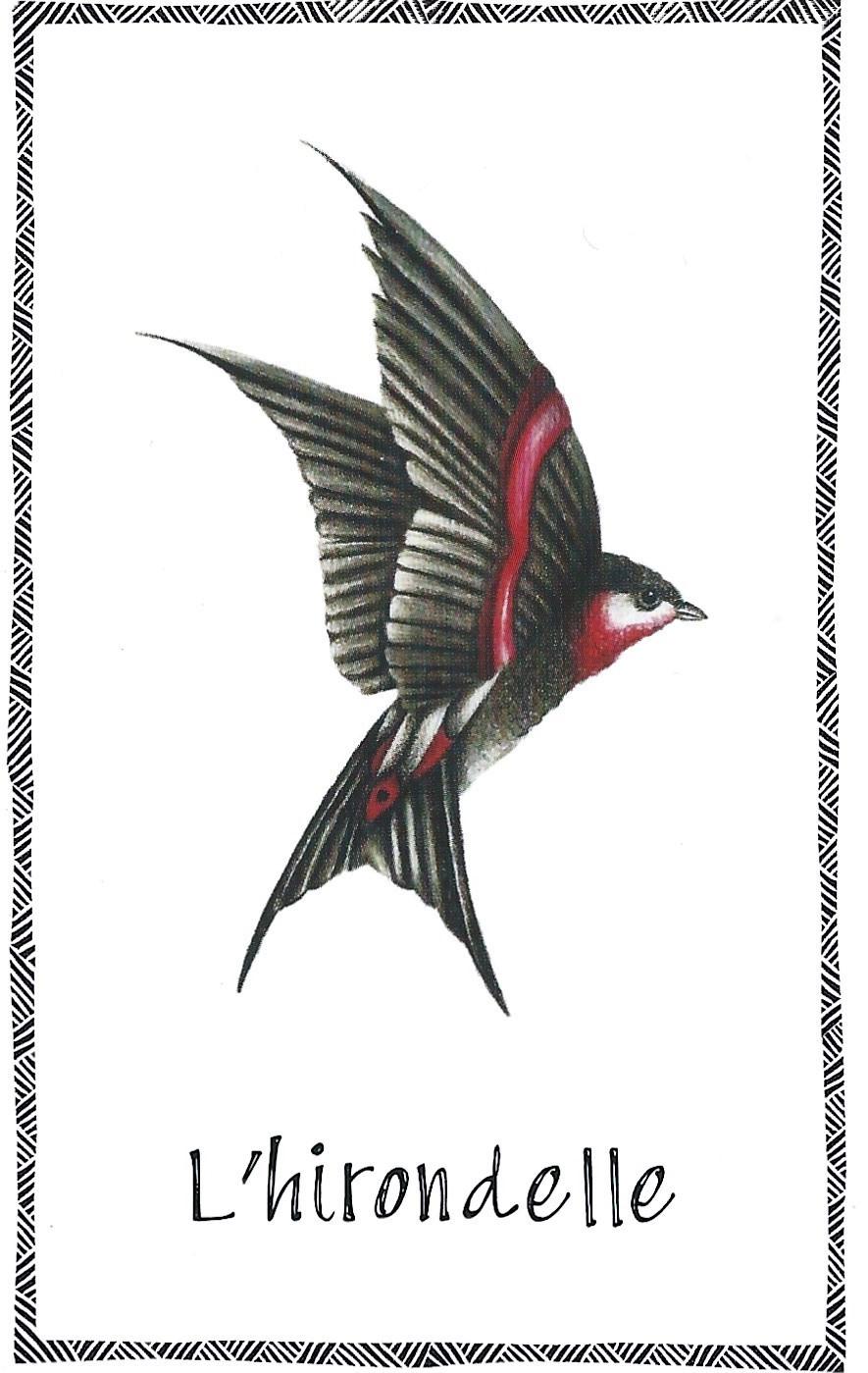 Hirondelle 1