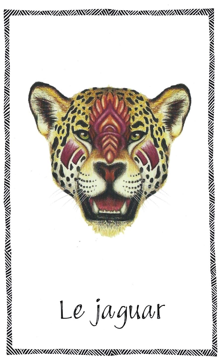 Jaguar