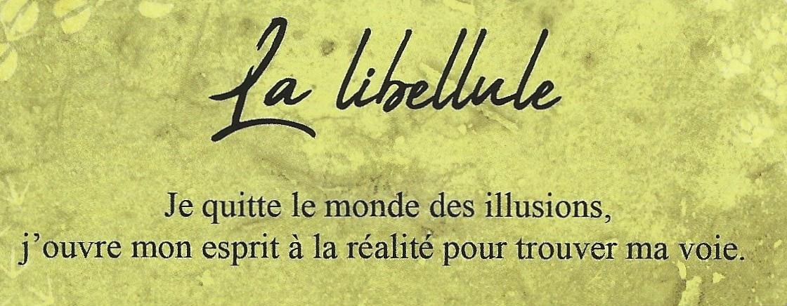 Libellule