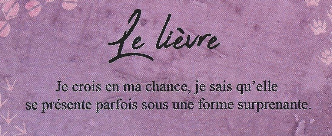 Lievre