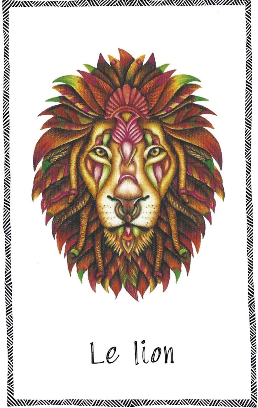 Lion 3