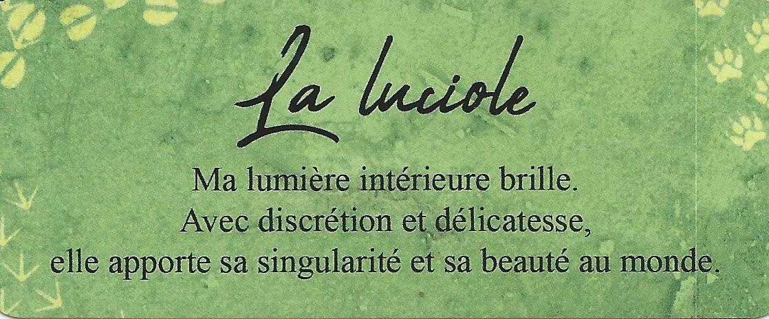 Luciole