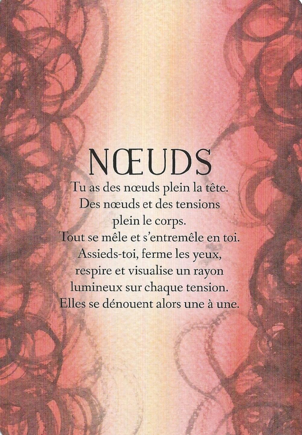 Noeuds