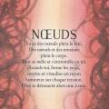 Noeuds