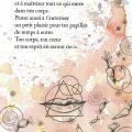Papilles