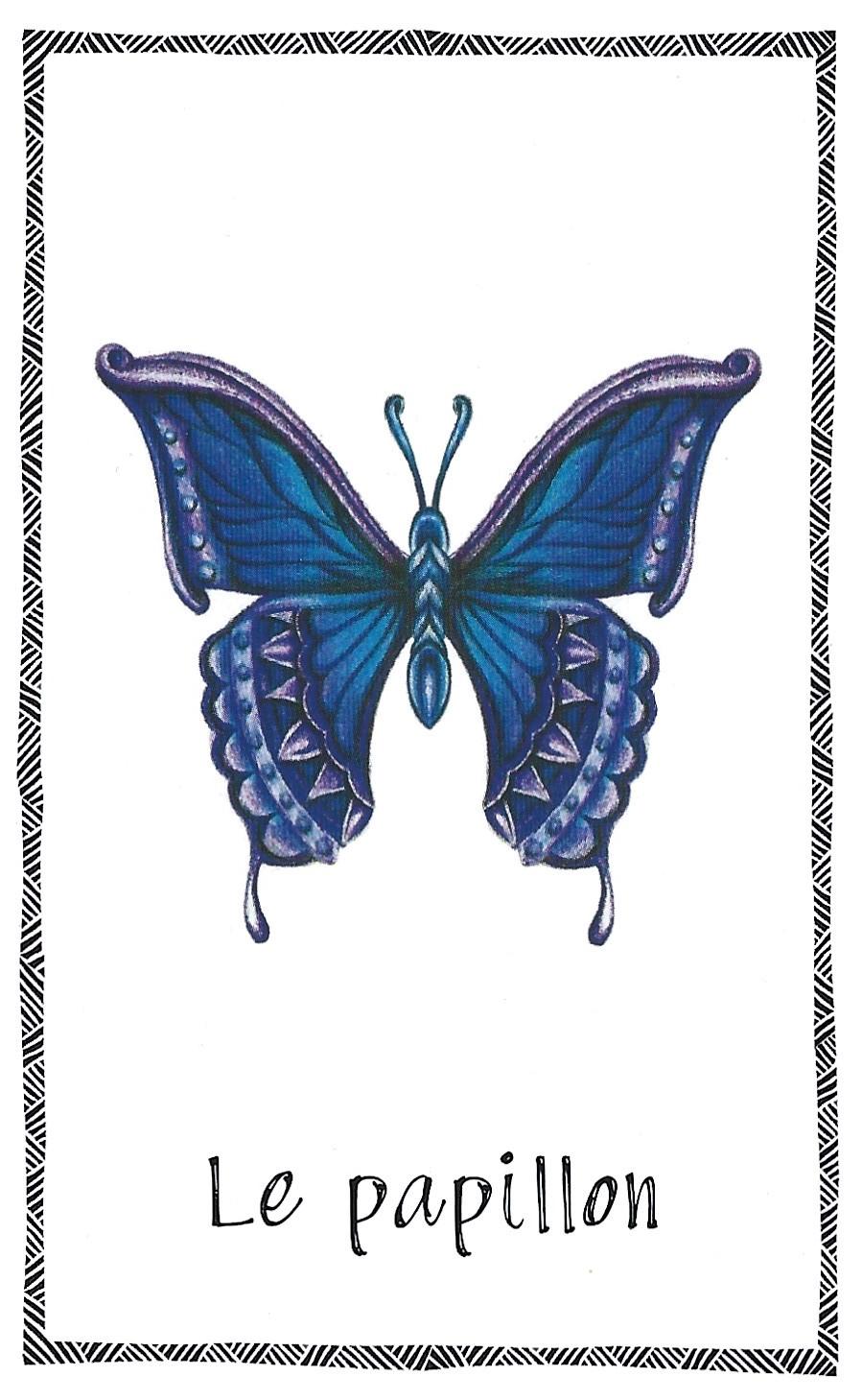 Papillon 1