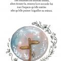 Sentir