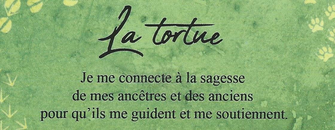 Tortue