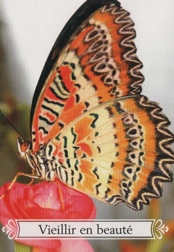 Vieillir en beaute